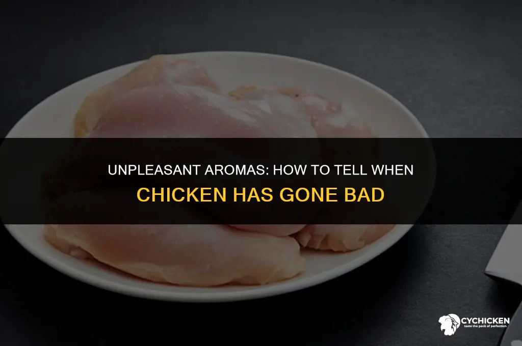 what does a chicken smell like when its off