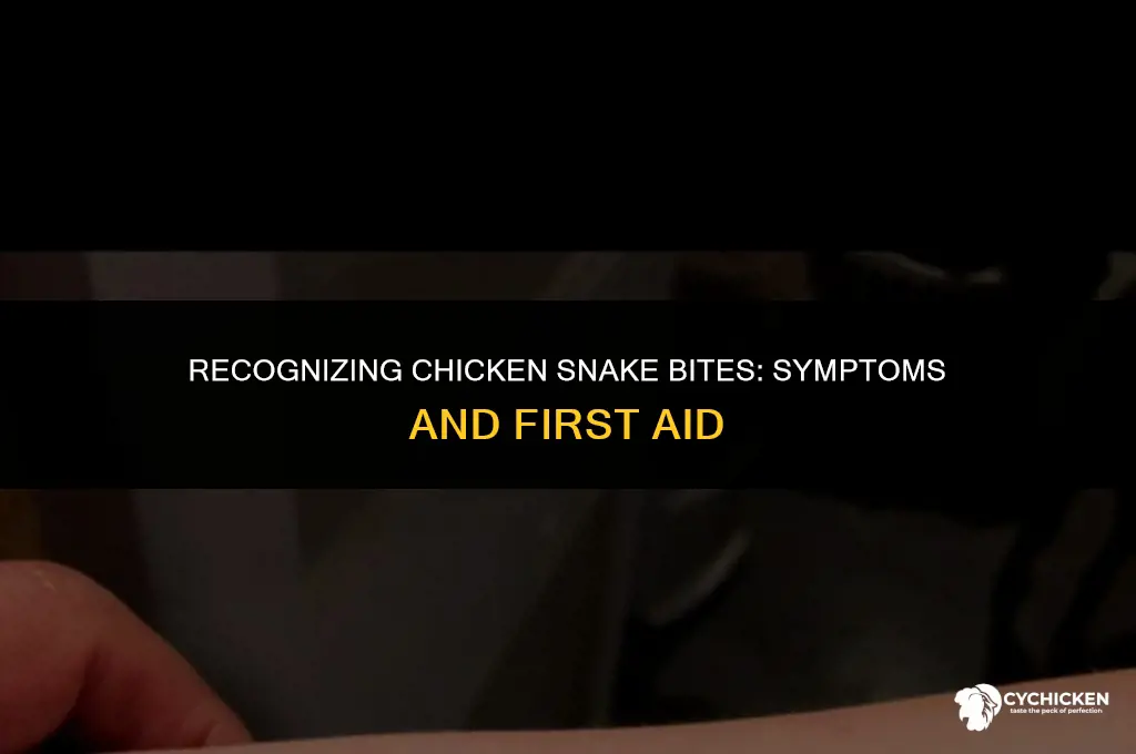 what does a chicken snake bite look like