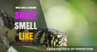 Unveiling the Unique Scent Profile of Chicken Snakes
