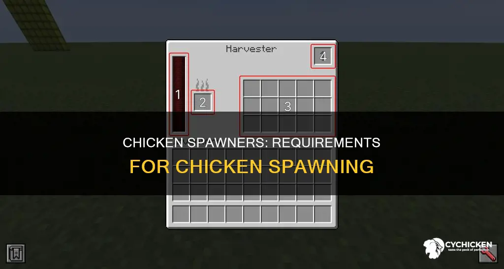 what does a chicken spawener need to spawn chickens