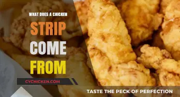 Unveiling the Truth: What Part of the Chicken Are Strips From?