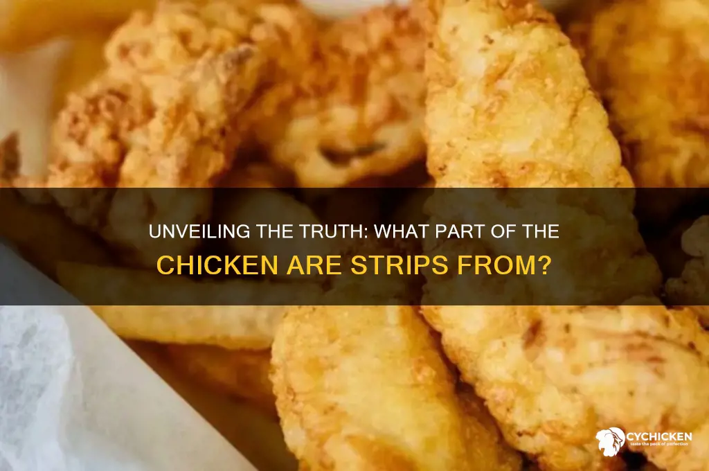 what does a chicken strip come from