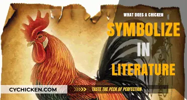 Clucking with Meaning: Decoding the Chicken's Literary Symbolism