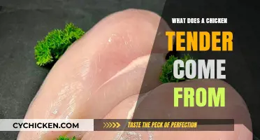 What Part of the Chicken Are Tenders? Uncovering the Truth