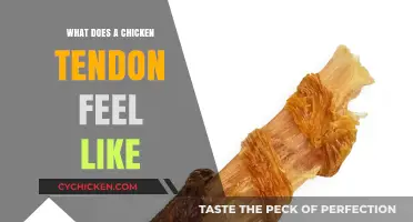 Exploring the Unique Texture of Chicken Tendons: A Sensory Guide