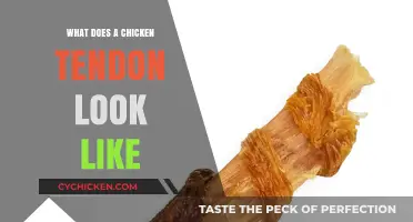 Exploring the Appearance and Texture of Chicken Tendons