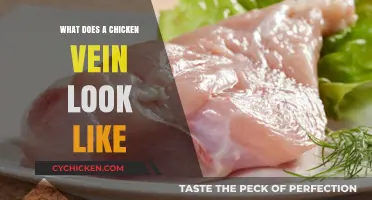 Exploring the Appearance of Chicken Veins: A Visual Guide