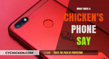 What Does a Chicken's Phone Say? Unlocking Poultry Communication Secrets