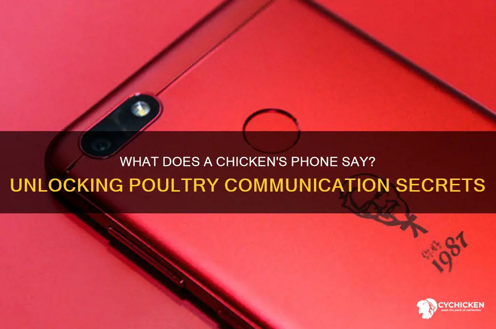 what does a chicken
