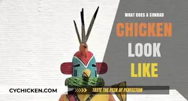 Exploring the Unique Appearance of Conrad Chickens: A Visual Guide