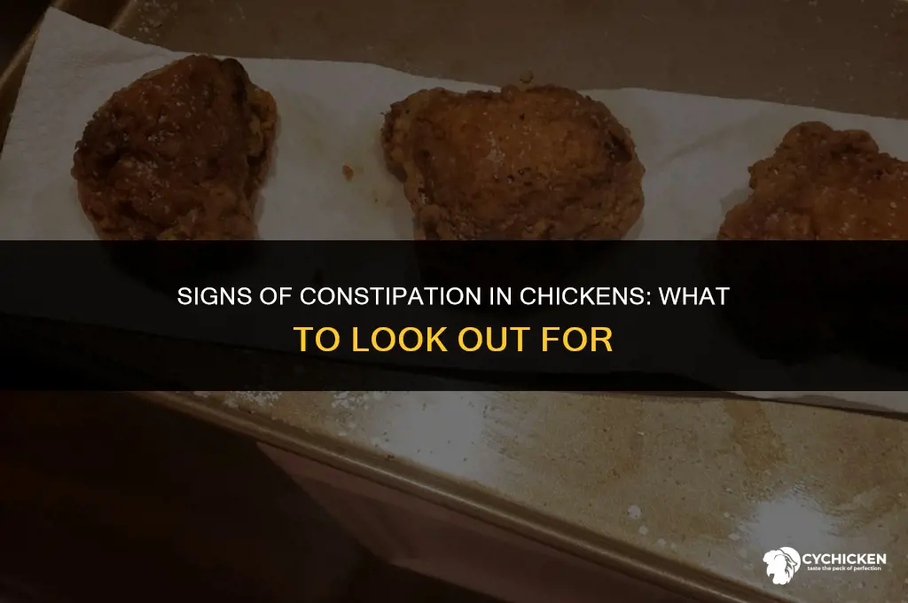 what does a constipated chicken look like