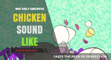 Clucking About Constipation: Decoding the Sounds of a Troubled Hen