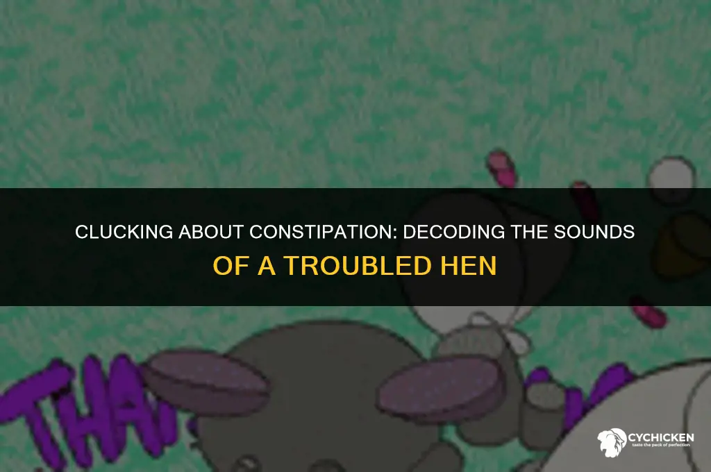 what does a constipated chicken sound like