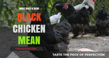 Unraveling the Mystery: What Does a Dead Black Chicken Symbolize?