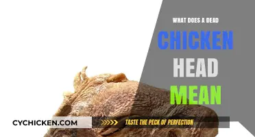 Unraveling the Mystery: What Does a Dead Chicken Head Symbolize?