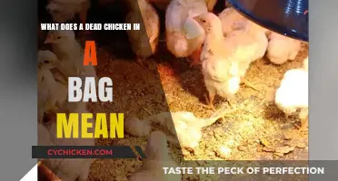 Mysterious Chicken Death: What Does It Signify?