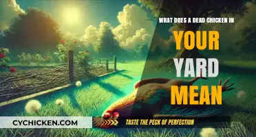 Mysterious Chicken Death: What Does it Mean?