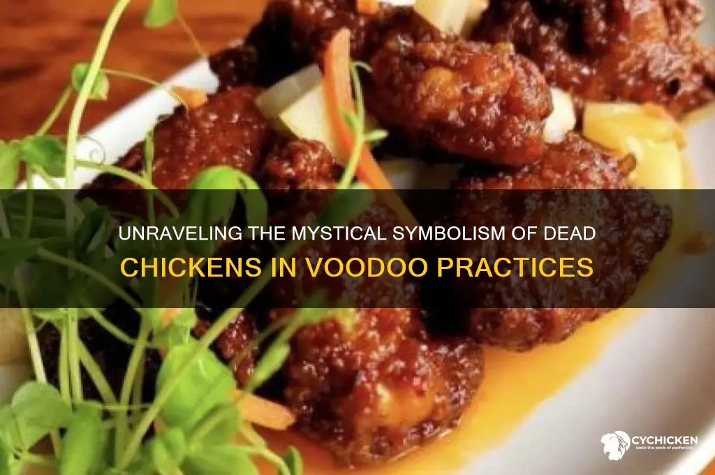 what does a dead chicken mean in voodoo