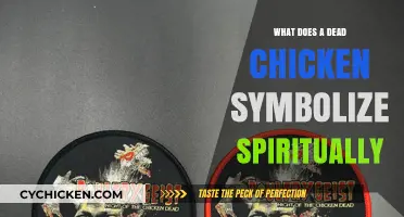 Dead Chicken Symbolism: Unveiling Spiritual Meanings and Hidden Messages