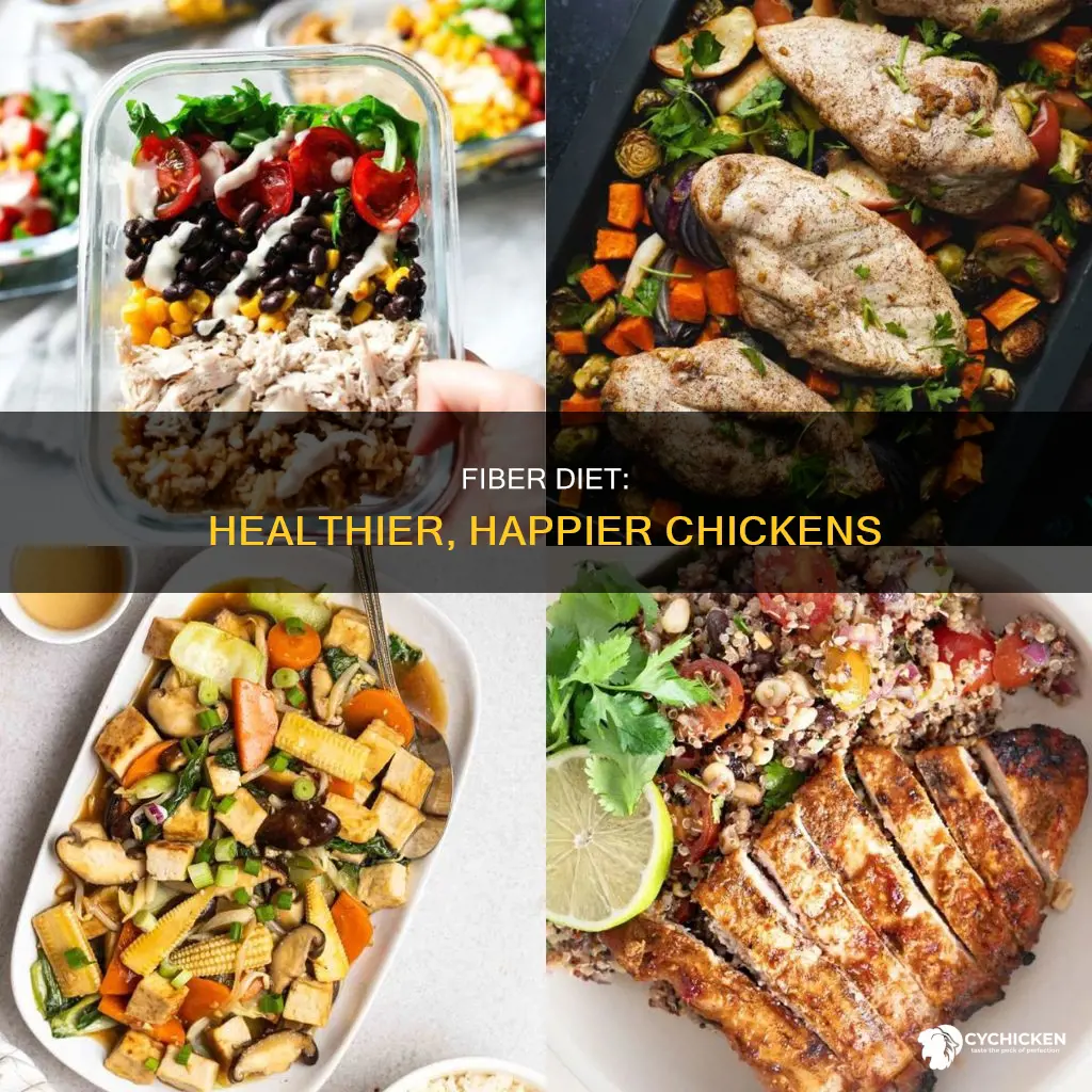 what does a fiber based diet do for a chicked