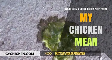 Green, Liquid Poop in Chickens: What Does It Mean?