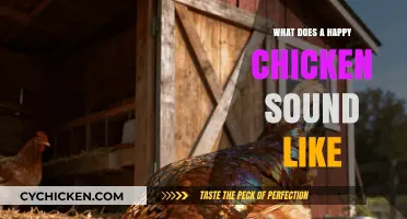 Cluck, Cluck, Joy! Decoding the Sounds of Happy Hens