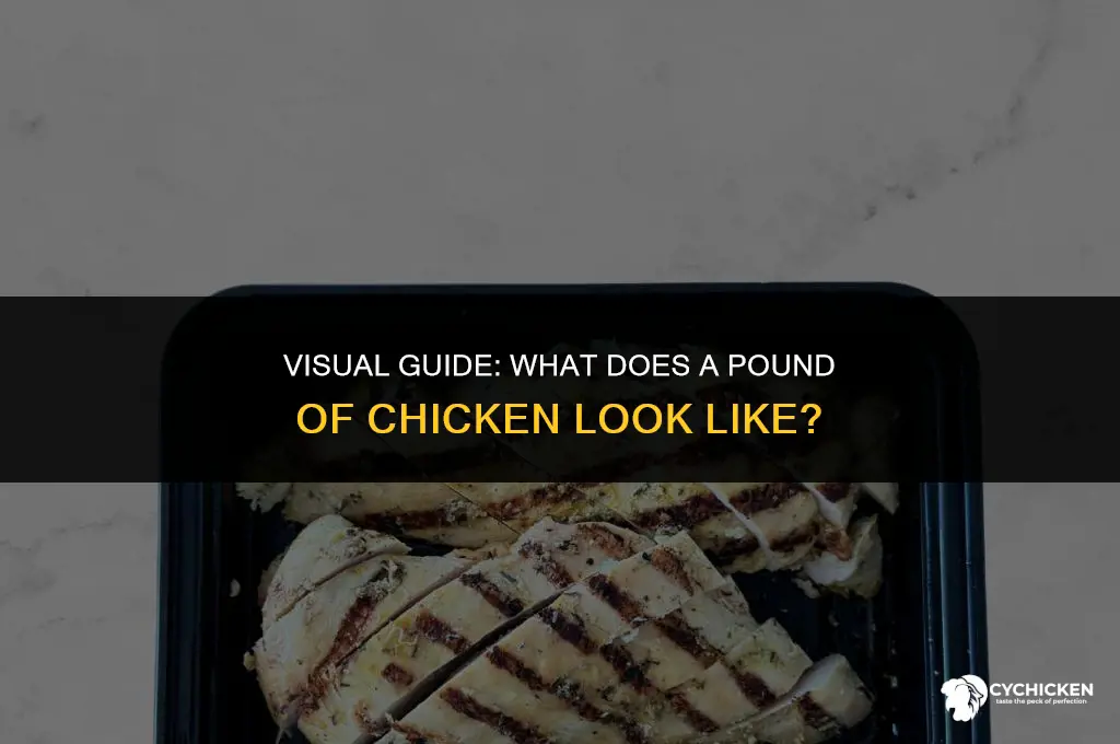 what does a lb of chicken look like