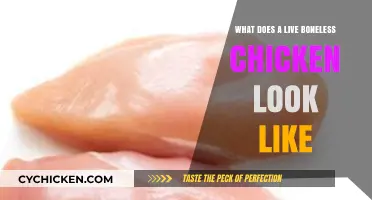 Exploring the Appearance of Live Boneless Chickens: A Visual Guide
