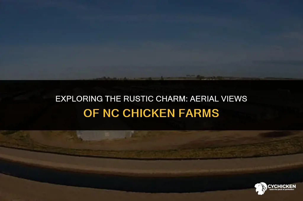 what does a nc chicken farm look like arial view