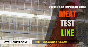 Savoring the Rich Flavor: A Taste Test of New Hampshire Red Chicken Meat