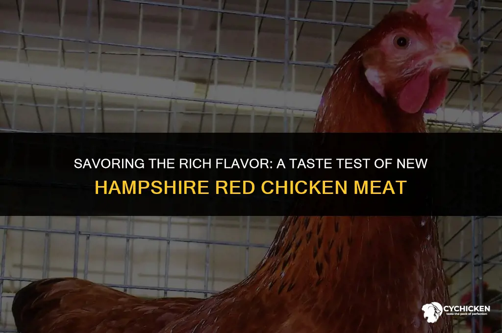 what does a new hampshire red chicken meat test like
