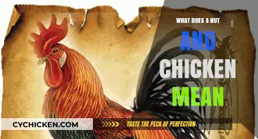 Unraveling the Mystery: What Does Nut and Chicken Symbolize?