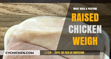 Pasture Raised Chicken Weight: Understanding the Natural Growth Process