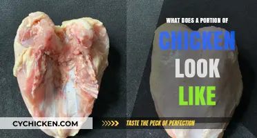 Exploring the Anatomy of a Chicken Portion: A Visual Guide
