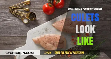 Visual Guide: What Does a Pound of Chicken Cutlets Look Like?
