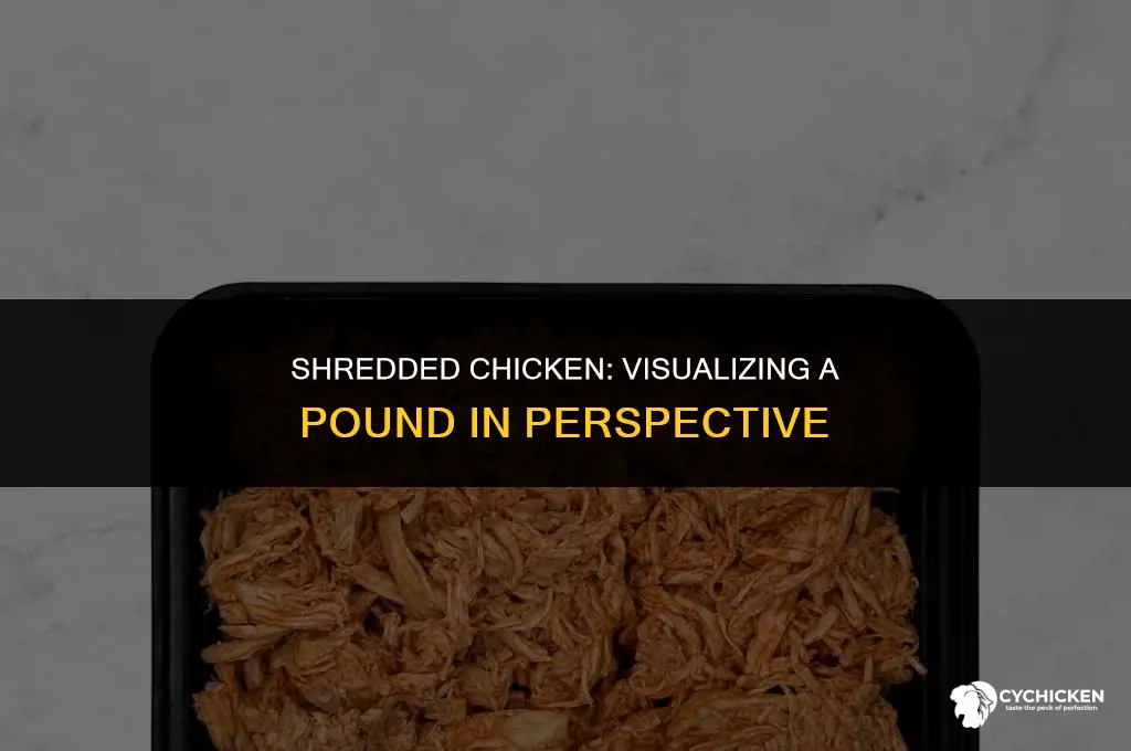 what does a pound of shredded chicken look like