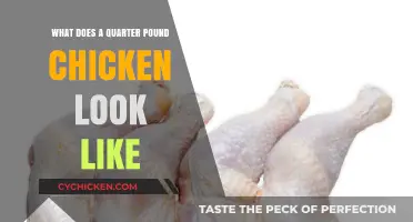 Visual Guide to a Quarter Pound Chicken: Size, Appearance, and More
