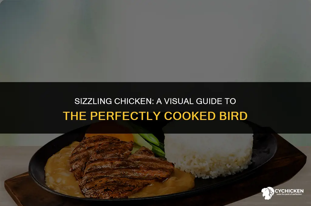 what does a sizzle chicken look like