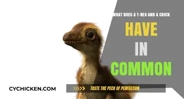 T-Rex and Chick: A Common Thread