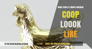 Exploring the Ideal Design of a Trophy Chicken Coop