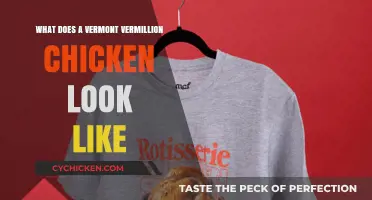 Exploring the Stunning Appearance of Vermont Vermillion Chickens