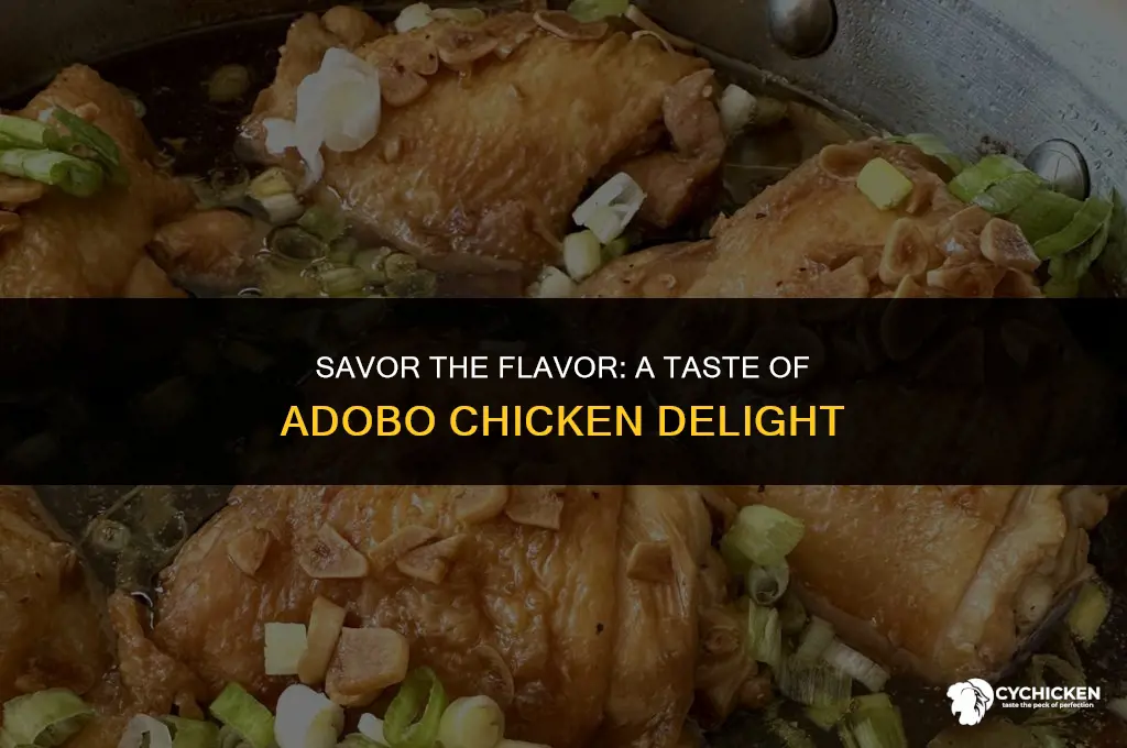 what does adobo chicken taste like