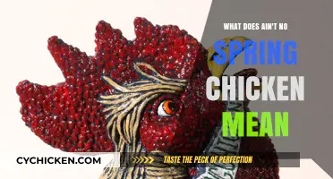 Ain't No Spring Chicken": Decoding the Meaning Behind This Popular Idio