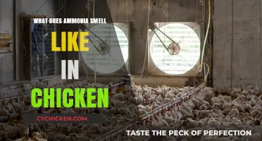 Unveiling the Truth: Ammonia's Role in Chicken Odor Explained