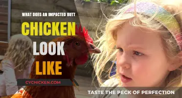Visual Guide: Identifying Impacted Butt in Chickens