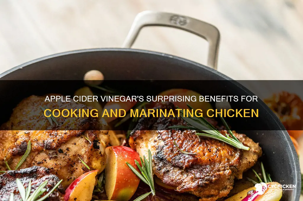what does apple cidar vinigar do to chicken