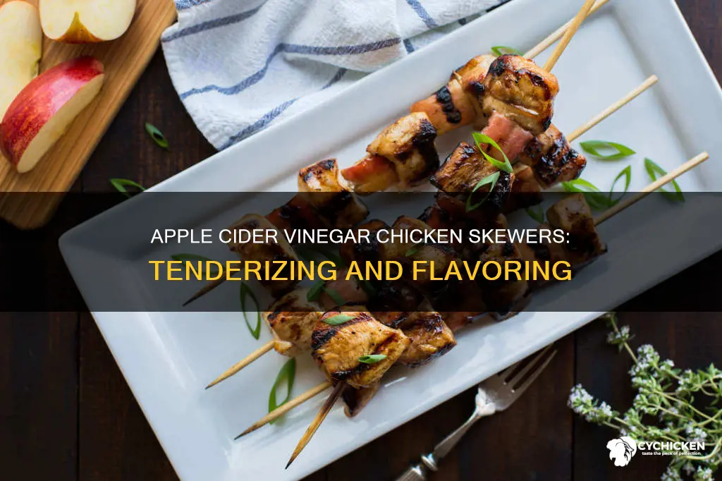 what does apple cider vinegar do for chicken skewers