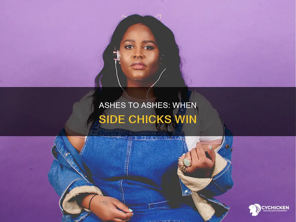 what does ashes to ashes dust to side chick mean