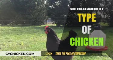 Understanding BA Chicken: What Does BA Really Mean?