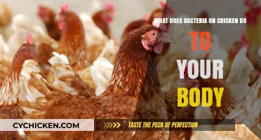 Bacteria on Chicken: What's the Harm?